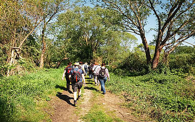 Aktuelles Projekt: Barrierefreien Komfortwanderweg in Wildau