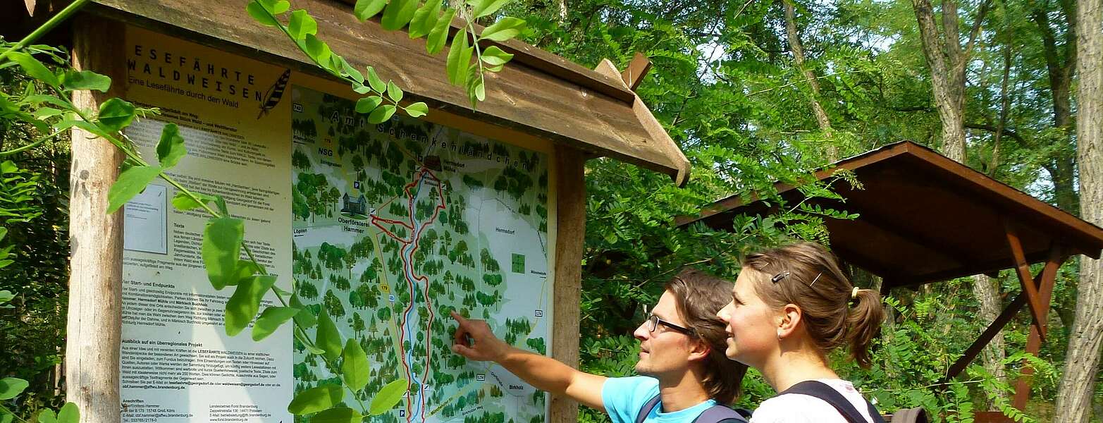 Wanderer an der Infotafel ,
        
    

        Foto: Tourismusverband Dahme-Seen e.V./Dana Klaus