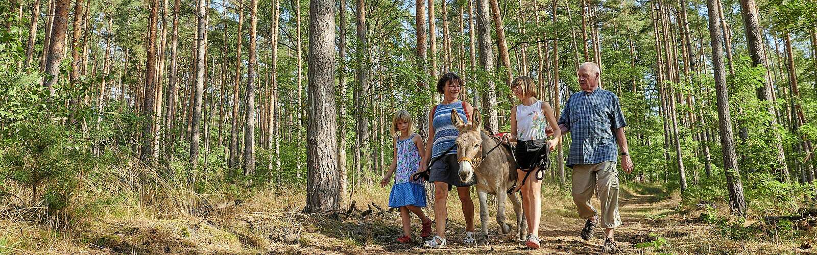 Wandern mit Esel,
        
    

        Foto: TMB Fotoarchiv/Florian Trykowski