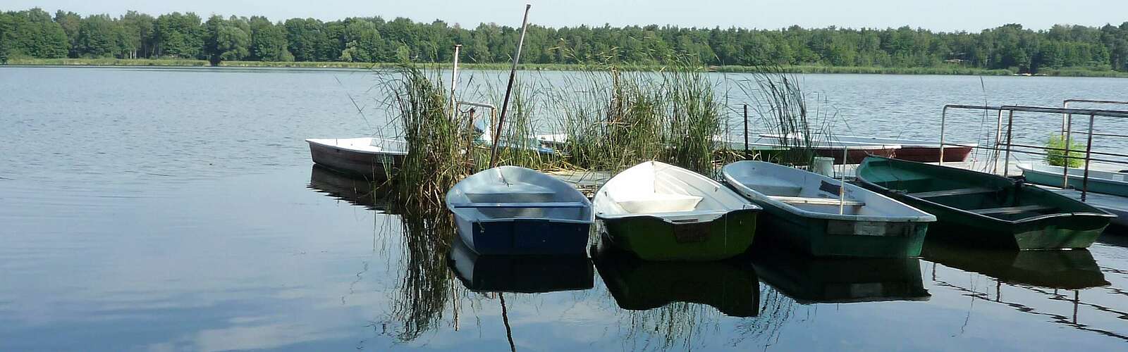Am Köthener See,
        
    

        Foto: Tourismusverband Dahme-Seen e.V./Petra Förster