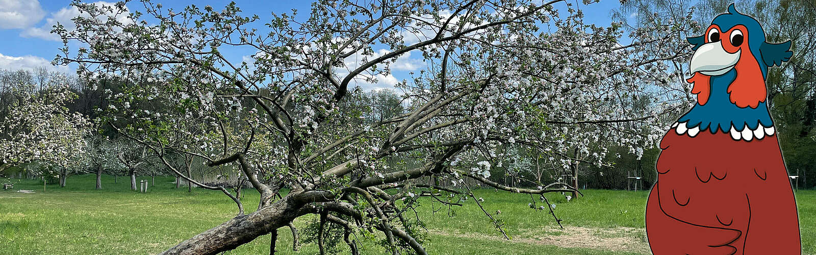 Streuobstwiese und Fabian,
        
    

        Foto: Tourismusverband Dahme-Seenland e.V./Petra Förster