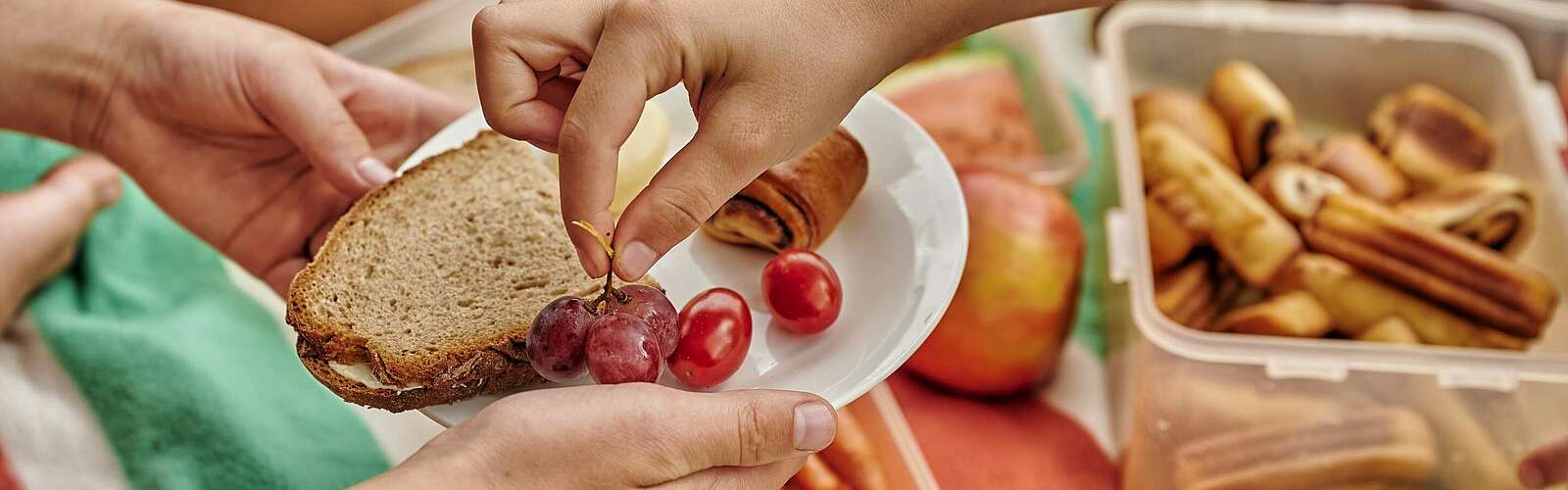 Picknickbuffet,
        
    

        Foto: TMB-Fotoarchiv/Florian Trykowski
