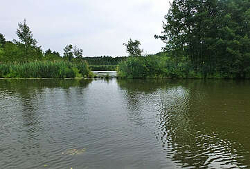 Dahme bei Märkisch Buchholz