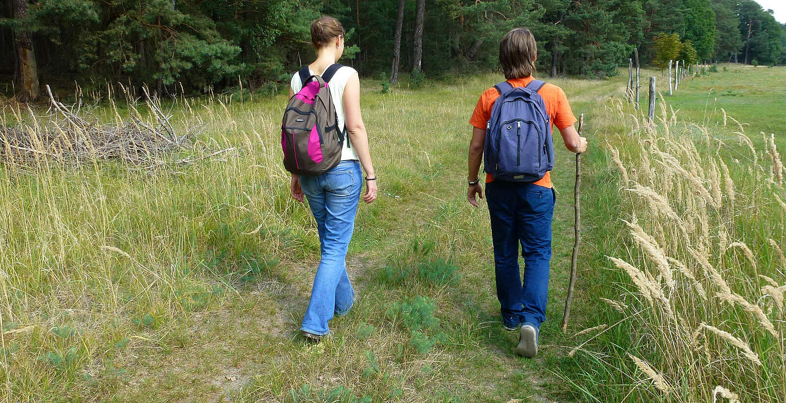 Wanderer auf Lesefährte,
        
    

        Foto: Tourismusverband Dahme-Seenland e.V./Dana Klaus