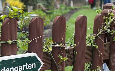 Honig in Kolberg