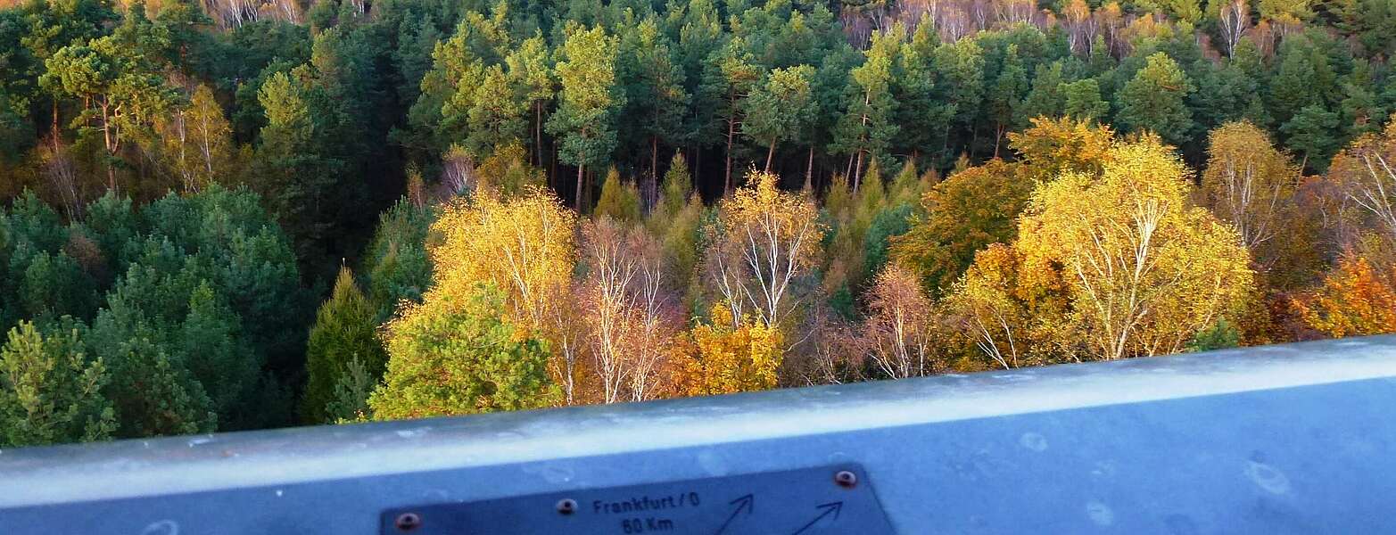 Blick vom Wehlaberg,
        
    

        Foto: Tourismusverband Dahme-Seen e.V./Juliane Frank