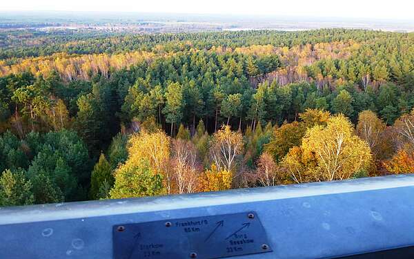 Blick vom Wehlaberg