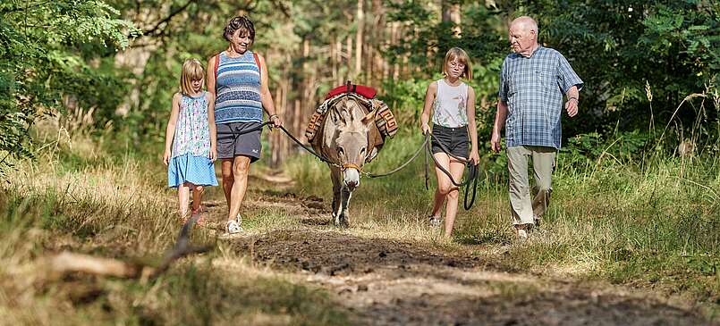 Familienurlaub im Dahme-Seenland mit Eselwanderung