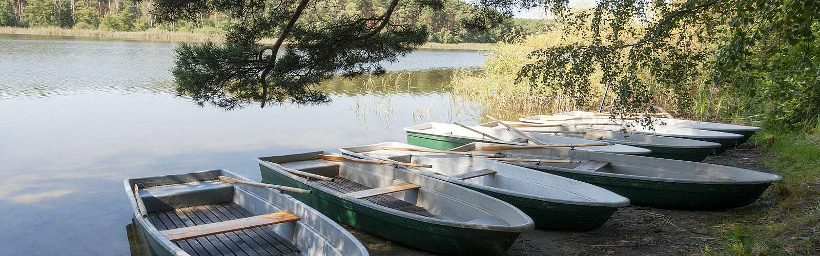 Frauensee Naturpark Dahme-Heideseen,
        
    

        Foto: Tourismusverband Dahme-Seen e.V./Juliane Frank