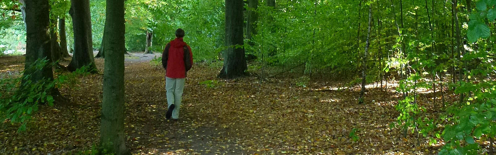 Wandern im Tiergarten,
        
    

        Foto: Tourismusverband Dahme-Seenland e.V./Juliane Frank