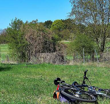 Mehrere Fahrräder sind auf einer Wiese abgestellt