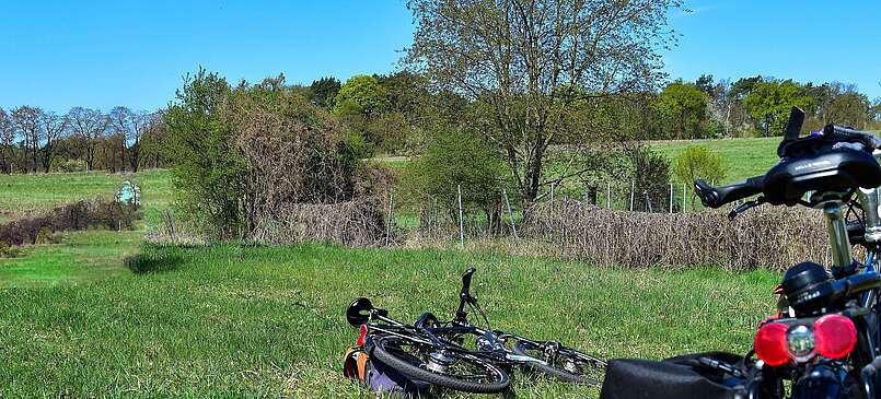 Mehrere Fahrräder sind auf einer Wiese abgestellt