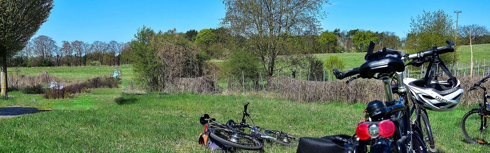 Mehrere Fahrräder sind auf einer Wiese abgestellt
