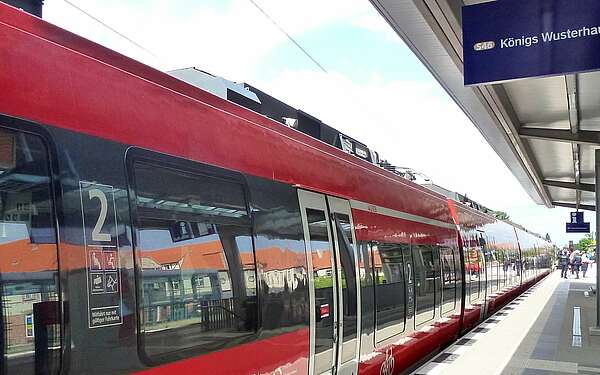 Zug Königs Wusterhasen