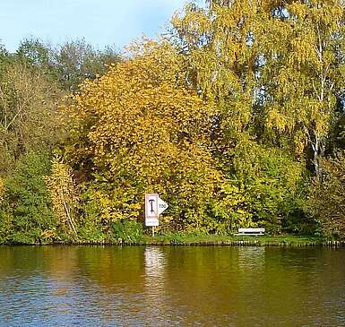 Segelboot_Herbst