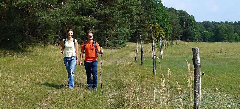 Auf der Lesefährte Waldweisen