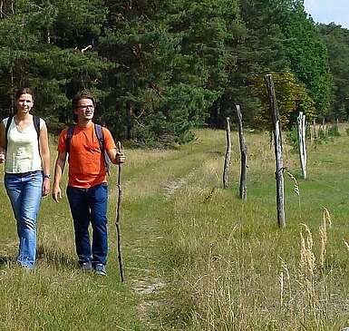 Auf der Lesefährte Waldweisen