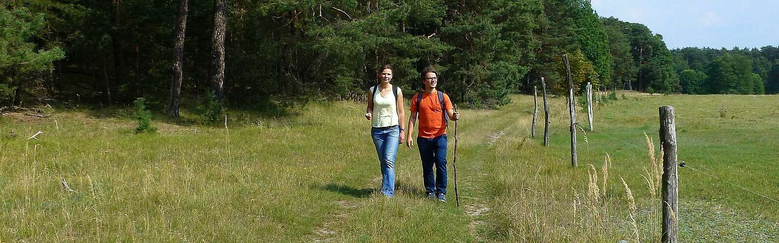 Auf der Lesefährte Waldweisen,
            
        
                Foto: Tourismusverband Dahme-Seenland e.V./Dana Klaus