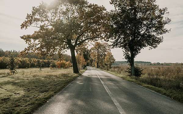 Allee