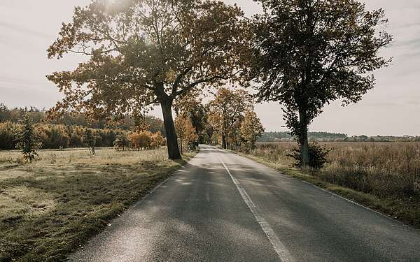 Allee