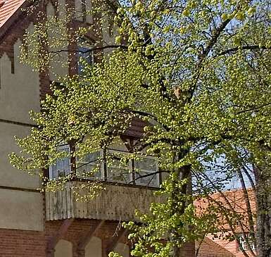 <p>Hausansicht in der Schwarztkopffsiedlung Wildau</p>
