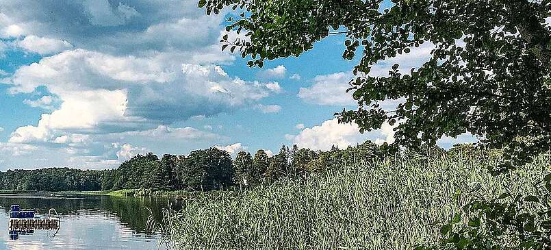 Eine Badeinsel schwimmt im Tornower See