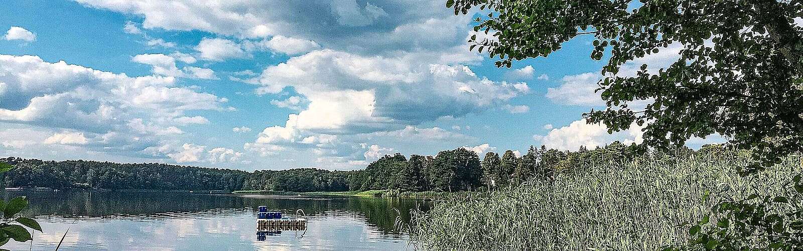 Eine Badeinsel schwimmt im Tornower See
