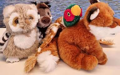 Kuscheltiere zum Kauf