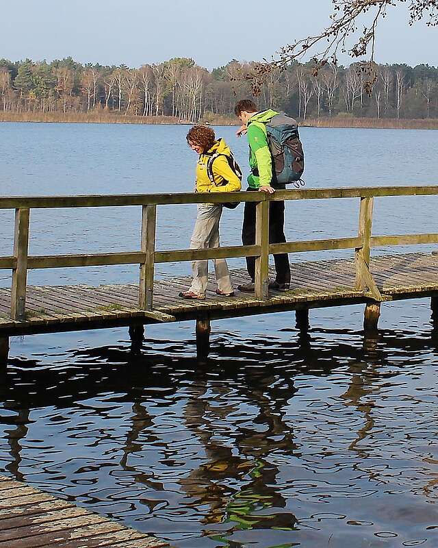 Zwei Wanderer stehen auf einem Steg am Köthener See