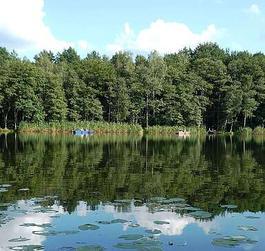 Blick über den Krummen See ans Ufer