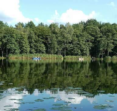 Krummer See