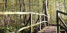Wandern