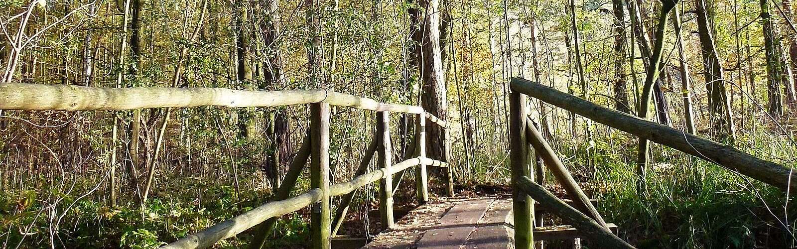 Wanderbrücke Köthener Heideseen