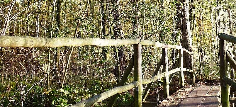 Wanderbrücke Köthener Heideseen