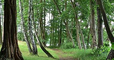 Wandern