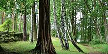 Wandern