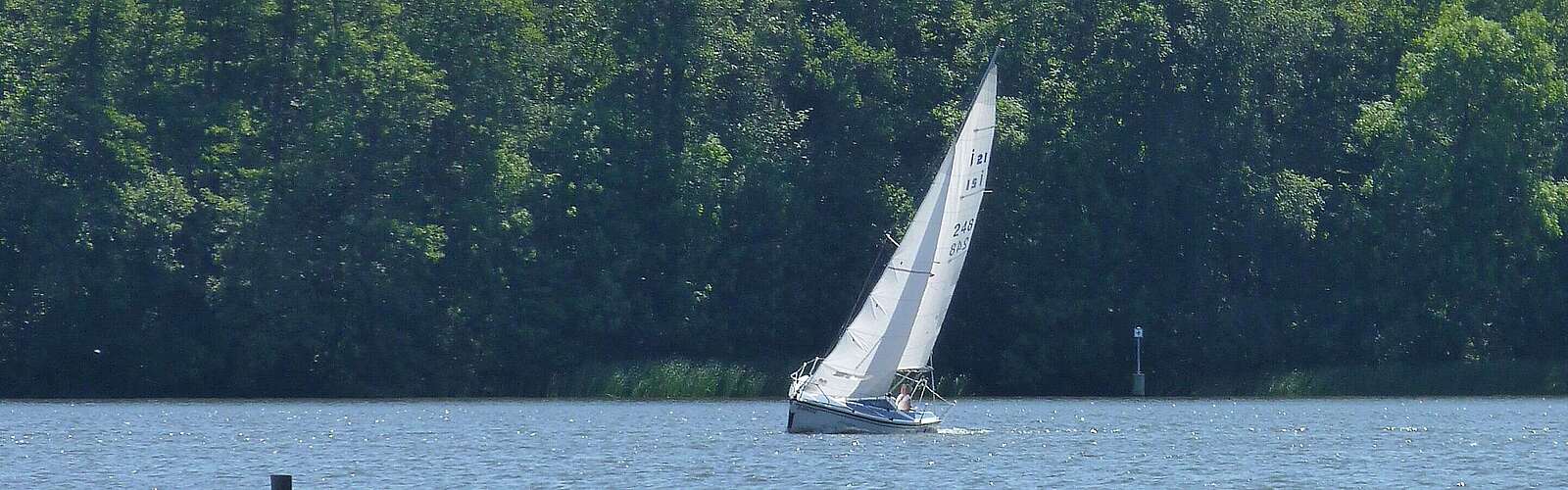 Segelboot auf dem Zeuthener See