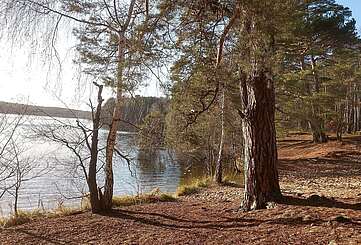 P7_Huschtesee