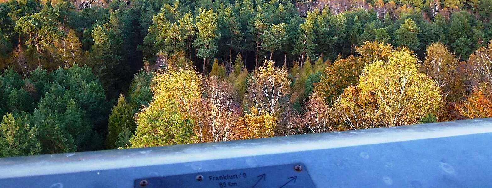 Blick vom Wehlaberg