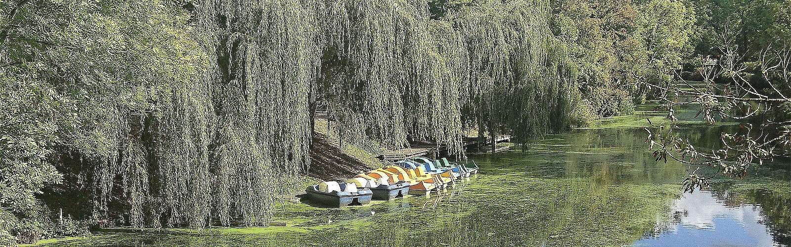 <p>Tretboote liegen am Ufer des Nottekanals</p>