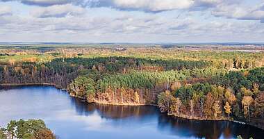 Naturpark Dahme-Heideseen