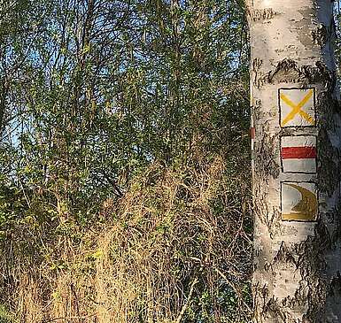 Wandern