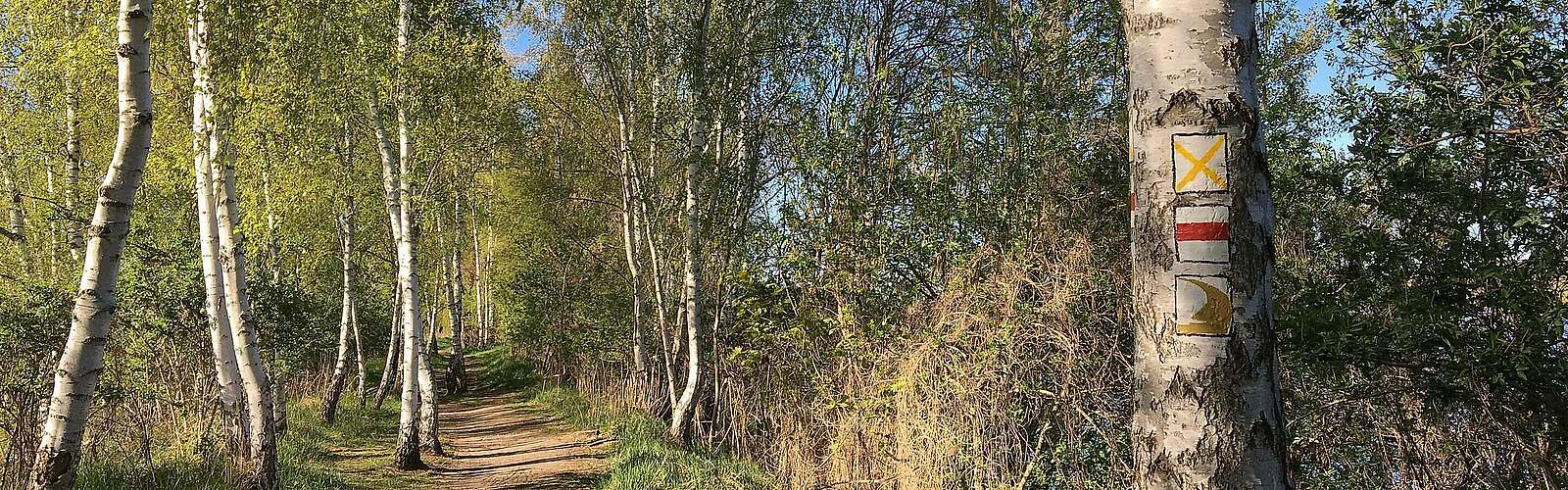 Wanderweg-Dahmewiesen-Wildau,
            
        
                Foto: Tourismusverband Dahme-Seenland e.V./Juliane Frank