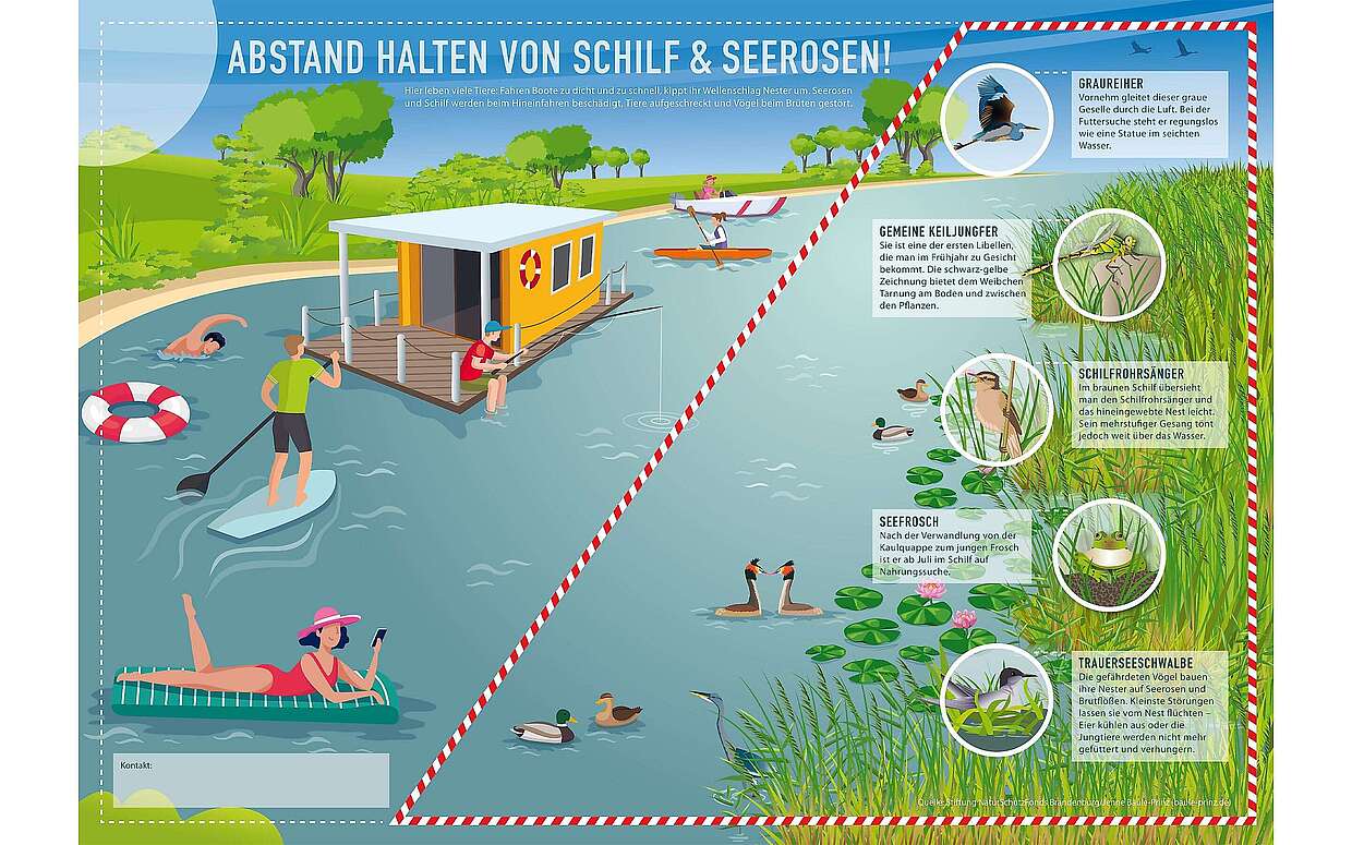 Infografik_Wassertourismus in GSG