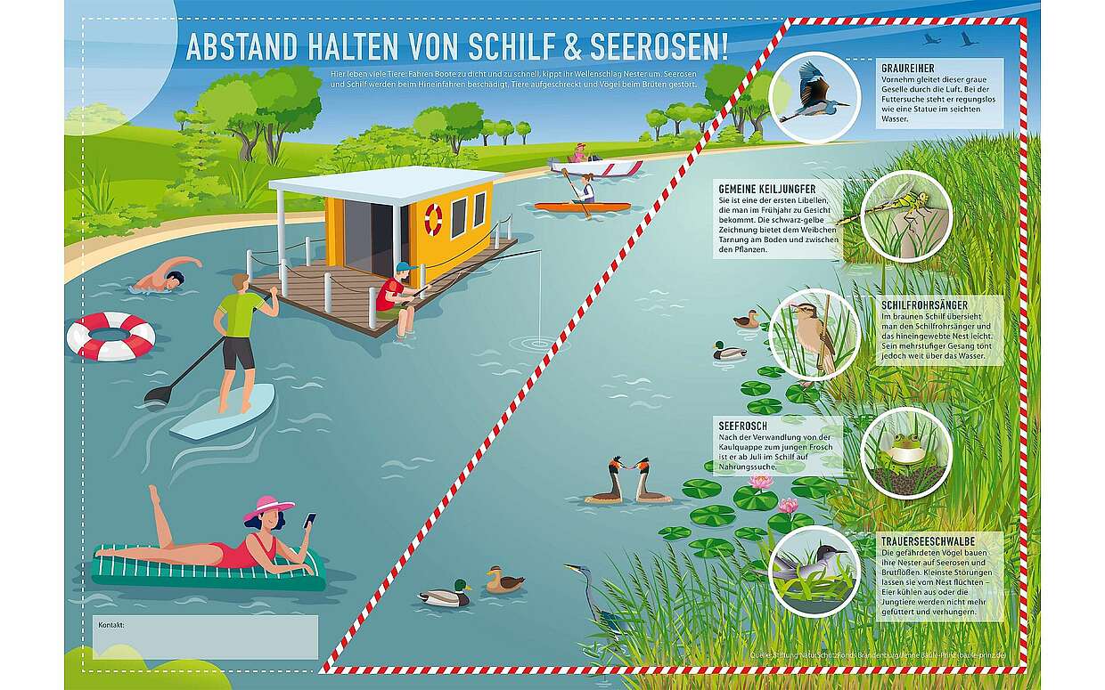 Infografik_Wassertourismus in GSG