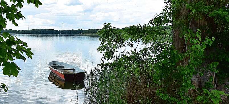 ein roter Kahn schwimmt auf dem Pätzer Vordersee