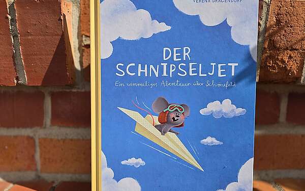 Der Schnipseljet