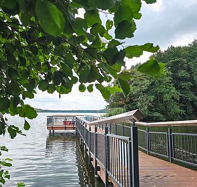 Steg führt auf den See umgeben von Wald am Ufer