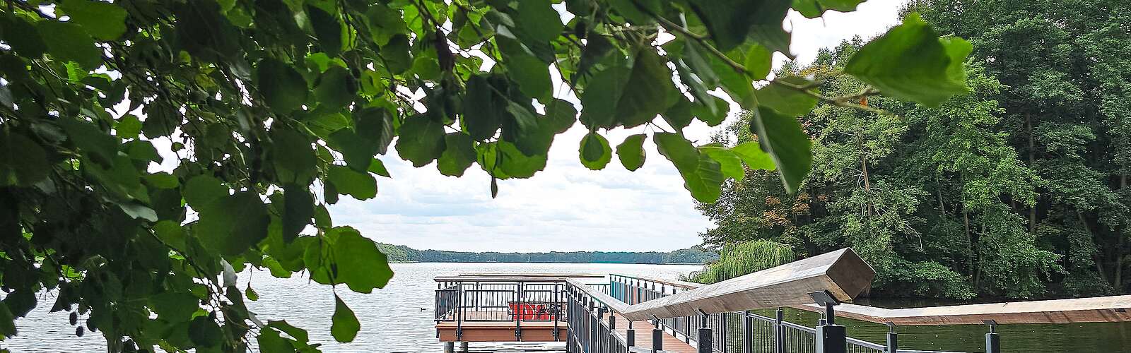 Steg führt auf den See umgeben von Wald am Ufer