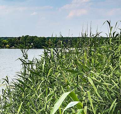 Teupitzer See